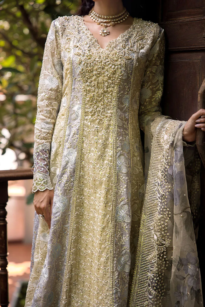 Mushq Roohi Luxury Wedding Formals – Riya