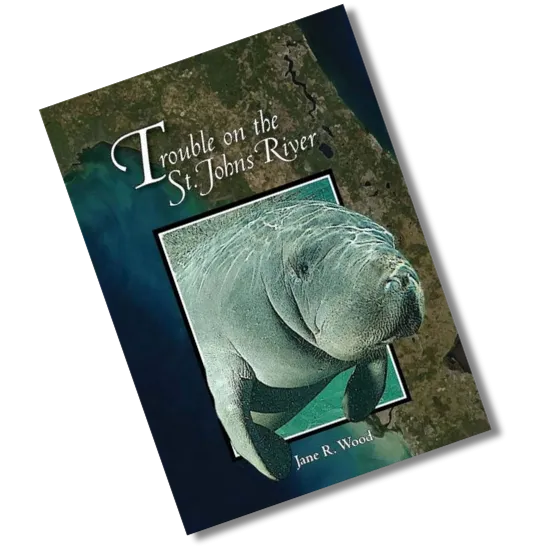 Trouble on the St. Johns River (Paperback)